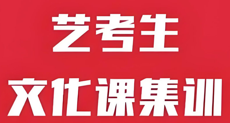 艺考生文化课辅导机构排名