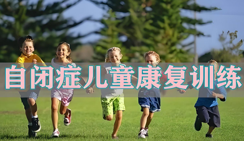自闭症儿童康复训练机构排名