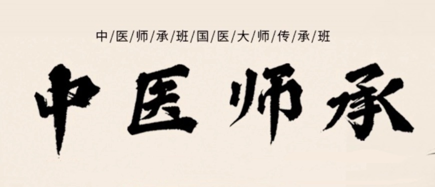 西安正规的中医师承培训机构