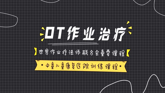 OT专业疗法的核心概念