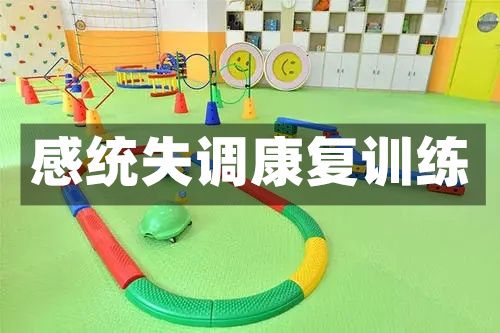 儿童感统失调训练课程推荐 儿童感统失调训练课程推荐