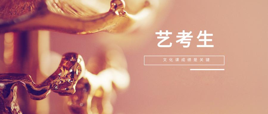 招生中|揭晓十大内蒙古艺考文化课培训辅导学校排名.中高考补习机构 招生中|揭晓十大内蒙古艺考文化课培训辅导学校排名.中高考补习机构