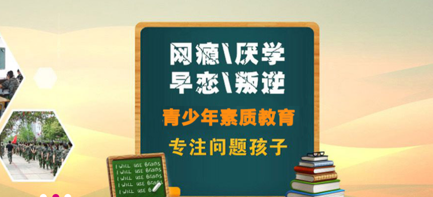 青少年素质教育 青少年素质教育