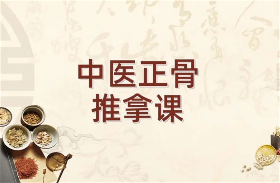 中医正骨推拿 中医正骨推拿