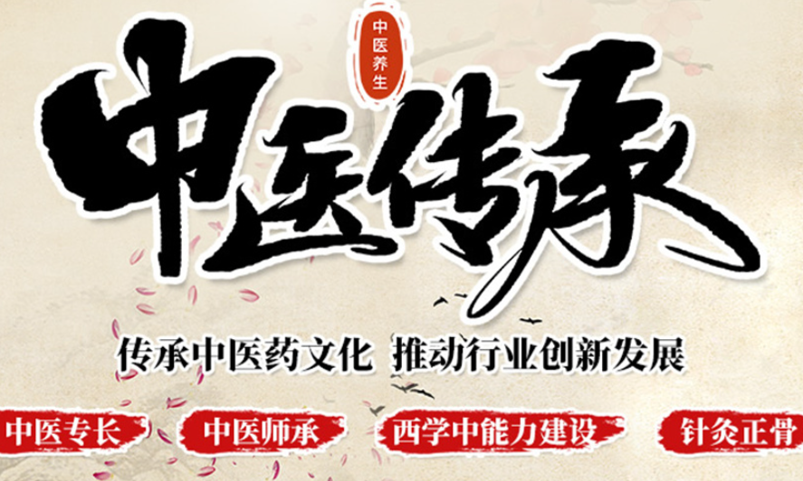 中医传承培训