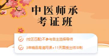 中医师承培训课程推荐