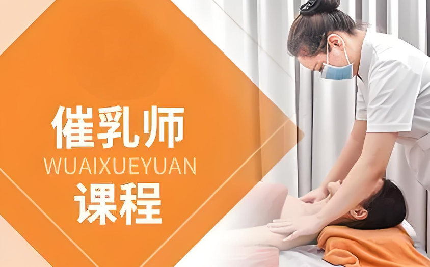 中医催乳培训机构排名