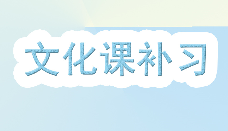 艺考文化课辅导 艺考文化课辅导