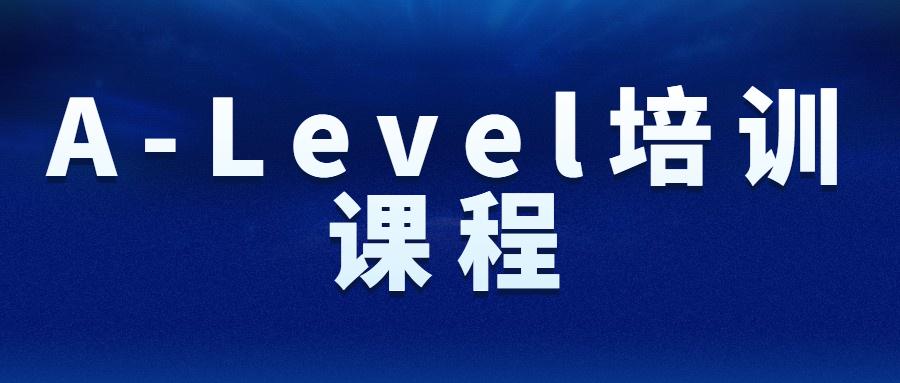 北京国际中学推荐