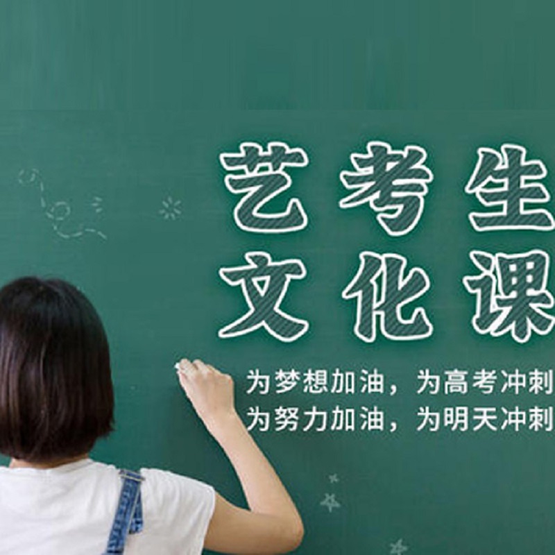艺考生文化课辅导