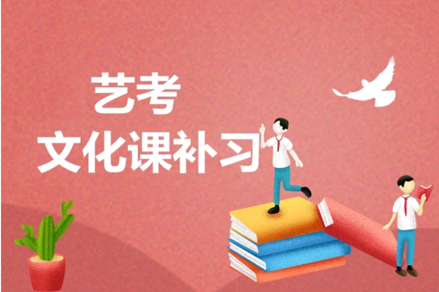 艺考文化课补习
