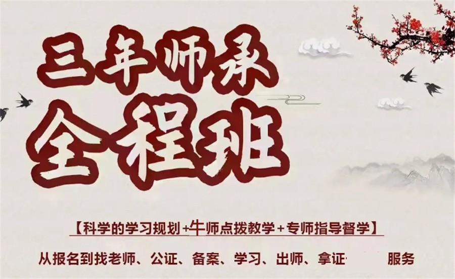 中医师承培训机构排名