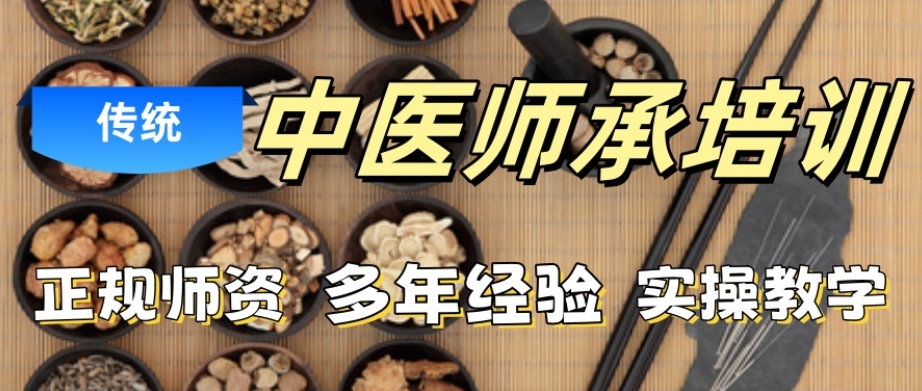 中医师承培训 中医师承培训