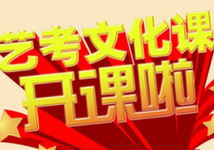 艺考生文化课辅导