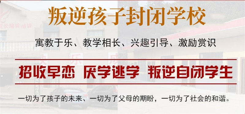 青少年叛逆厌学 青少年叛逆厌学