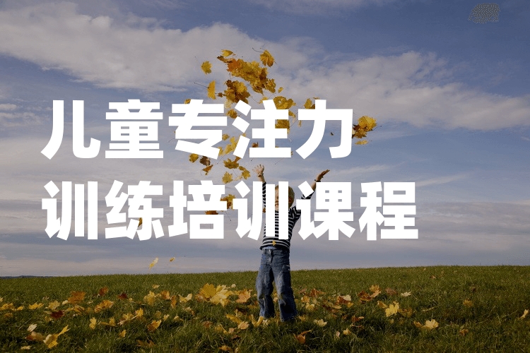 自闭症儿童注意力训练机构