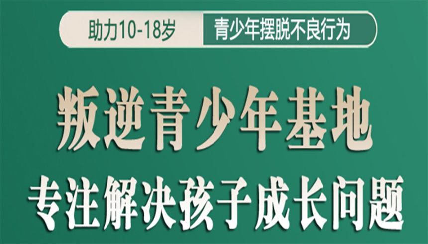 青少年素质教育 青少年素质教育