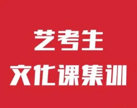 艺考生文化课辅导 艺考生文化课辅导