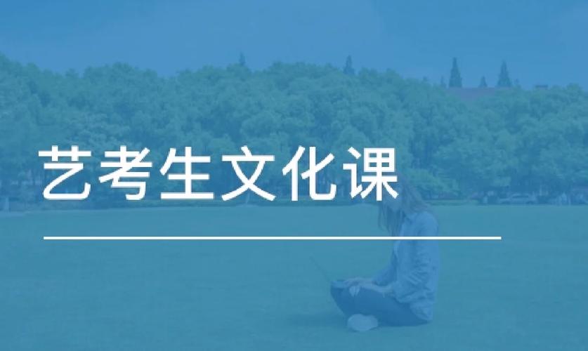 艺考生文化课辅导 艺考生文化课辅导