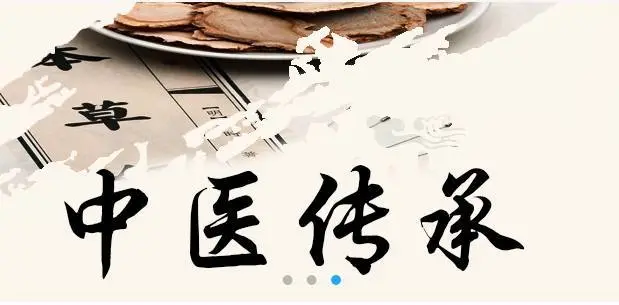 中医师承培训 中医师承培训