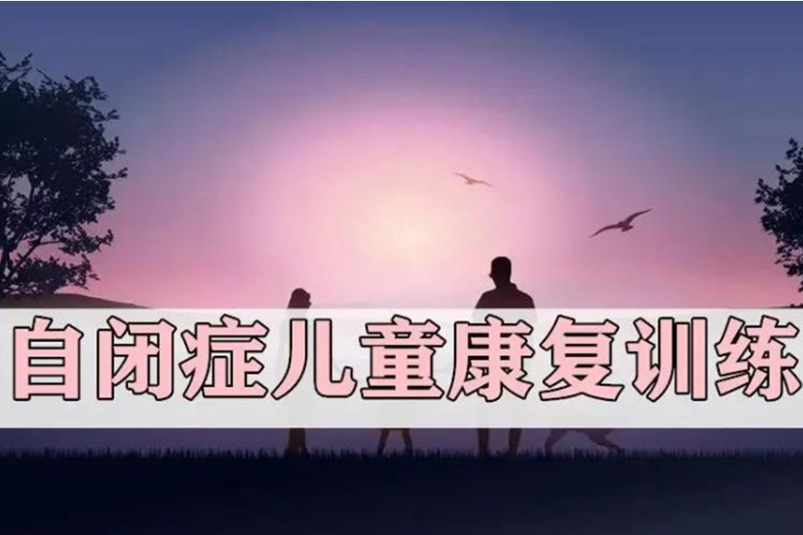 上海自闭症儿童康复训练机构 上海自闭症儿童康复训练机构
