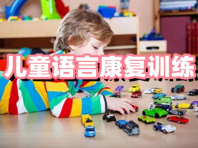 儿童唇腭裂术后语言训练