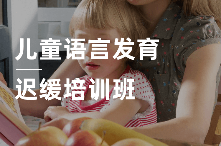 儿童语言发育迟缓矫正 儿童语言发育迟缓矫正