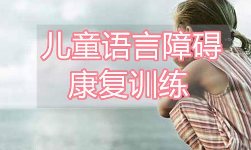 儿童语言发育迟缓矫正 儿童语言发育迟缓矫正
