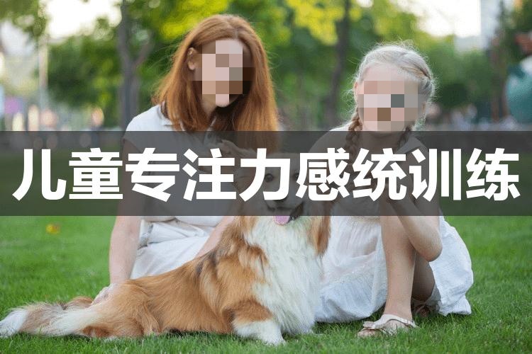 多动症儿童康复训练引导