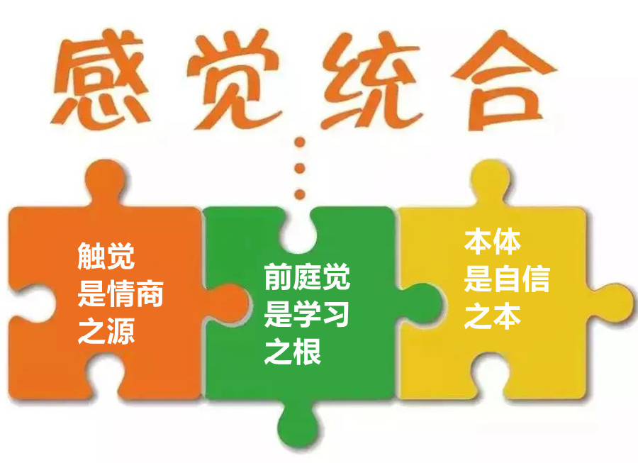 浙江统失调康复训练机构哪家好