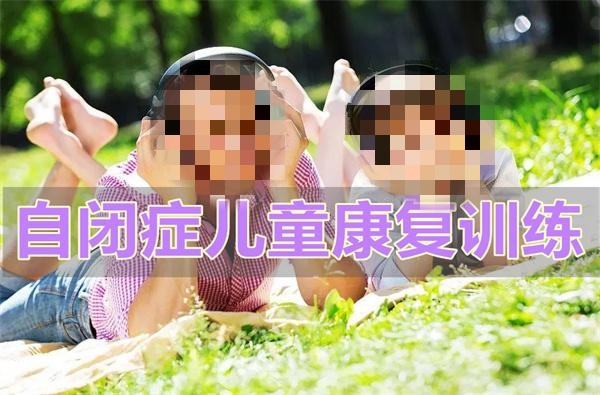 自闭症儿童成长指导 自闭症儿童成长指导