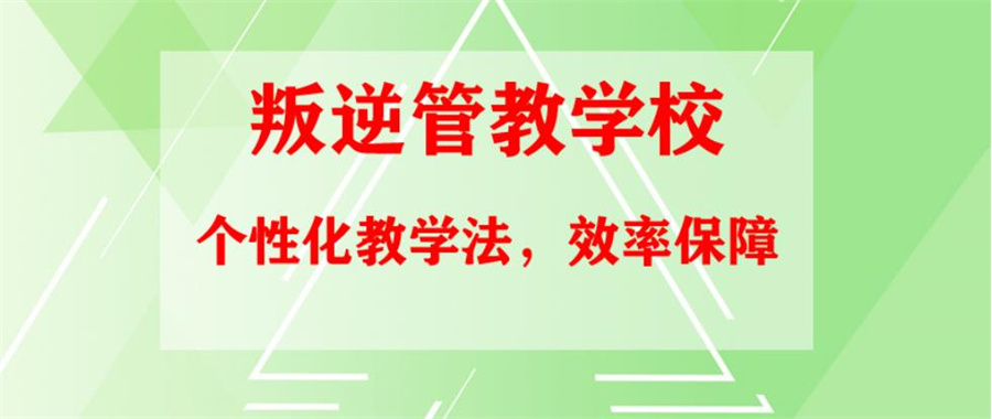 叛逆戒网瘾 叛逆戒网瘾