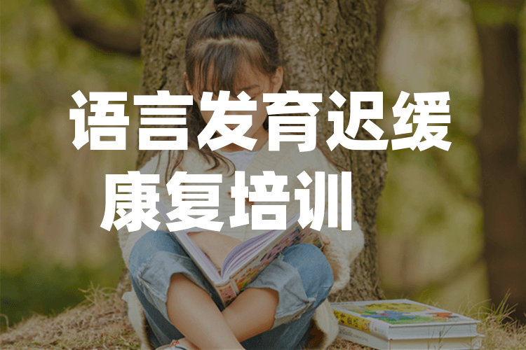 儿童语言发育迟缓矫正