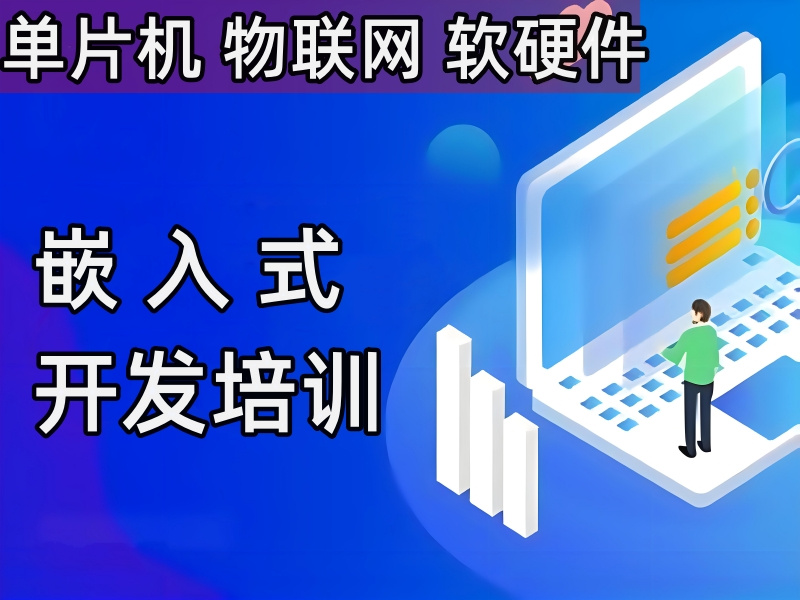 嵌入式开发 嵌入式开发