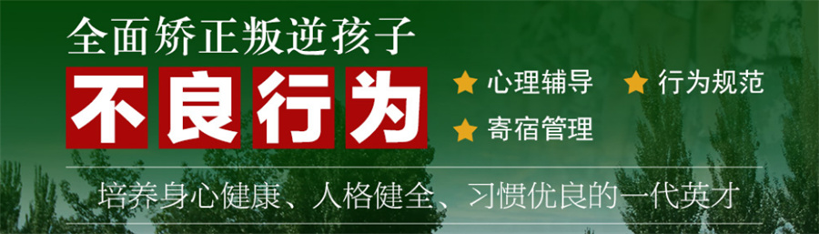 青少年素质教育 青少年素质教育