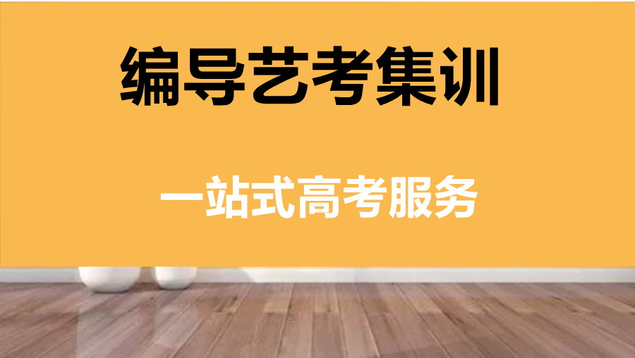 广东编导艺考培训