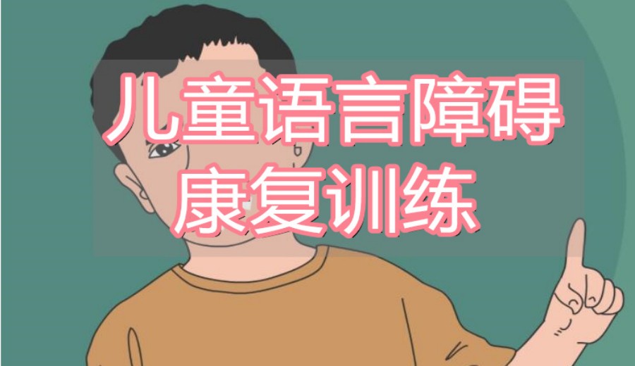 黑龙江儿童语言障碍康复机构