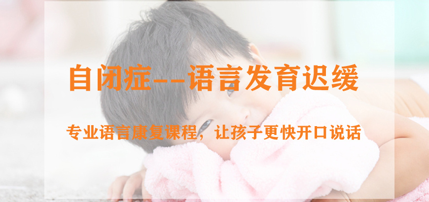 自闭症儿童干预训练机构 自闭症儿童干预训练机构