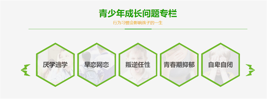 青少年素质教育 青少年素质教育