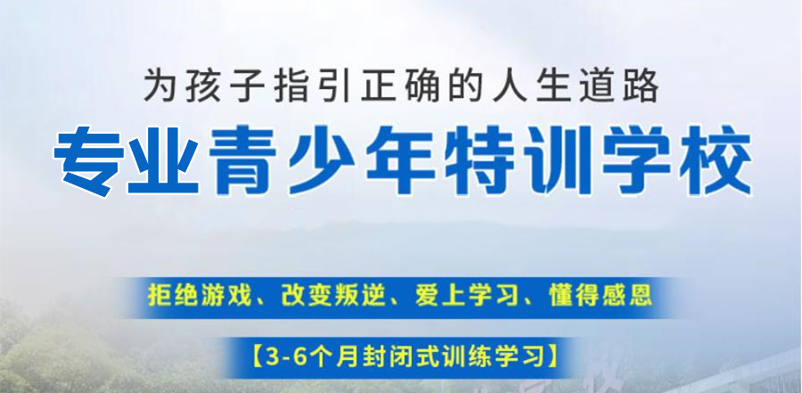 青少年素质教育 青少年素质教育