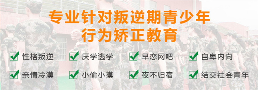 青少年素质教育 青少年素质教育
