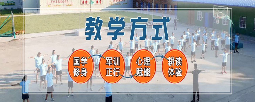 青少年素质教育 青少年素质教育