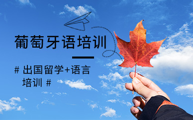 葡萄牙语口语精英课程排行榜