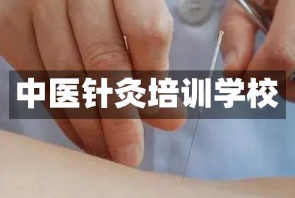 甄选2024年十大中医针灸培训学校排名榜更新一览