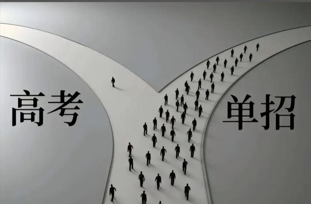 高考单招培训机构推荐 高考单招培训机构推荐