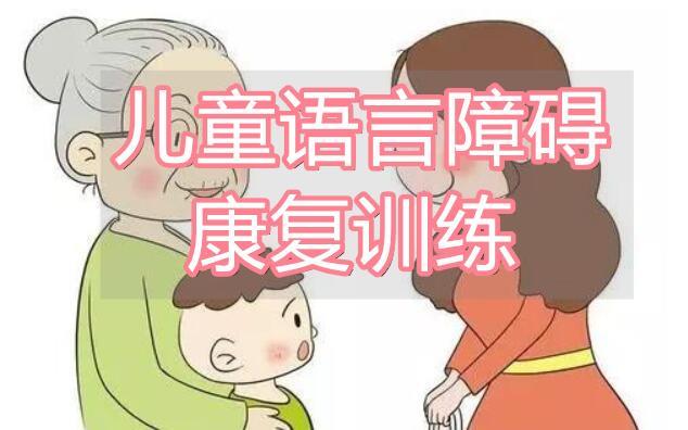 语言发育迟缓儿童康复训练机构推荐