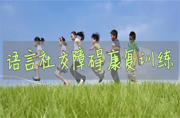 自闭症儿童社交能力训练机构 自闭症儿童社交能力训练机构