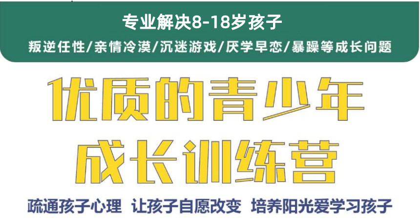 山东正规十大全封闭式叛逆少年特训学校排名揭晓一览 山东正规十大全封闭式叛逆少年特训学校排名揭晓一览