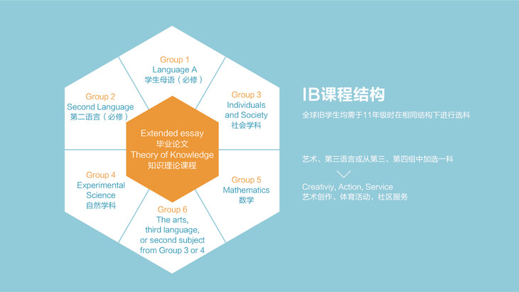 IB课程辅导学校推荐