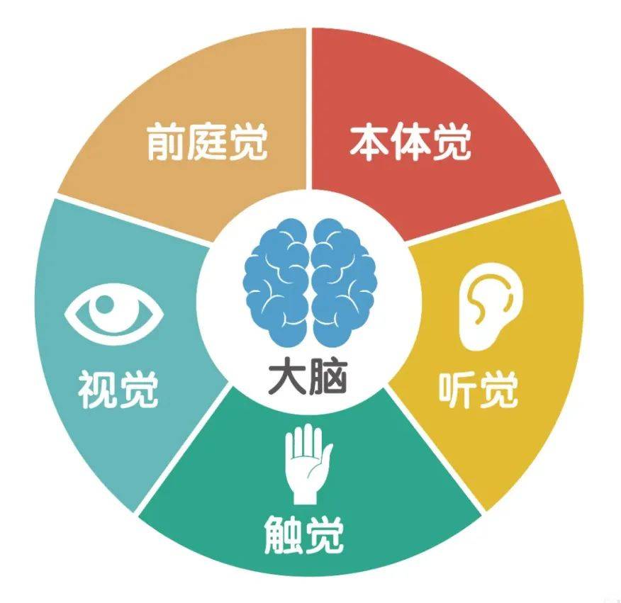 儿童智力障碍引导训练机构